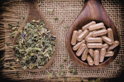 Western Herbal Medicine Consultation